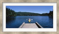 Rear view of a man on a kayak in a river, Orcas Island, Washington State, USA Fine Art Print
