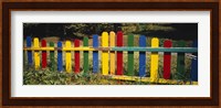 Fence in a park, Germany Fine Art Print