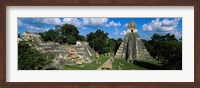 Ruins Of An Old Temple, Tikal, Guatemala Fine Art Print