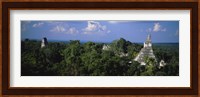 High Angle View Of An Old Temple, Tikal, Guatemala Fine Art Print