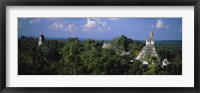 High Angle View Of An Old Temple, Tikal, Guatemala Fine Art Print
