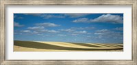 Clouded sky over a striped field, Geraldine, Montana, USA Fine Art Print