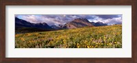 Flowers in a field, Glacier National Park, Montana, USA Fine Art Print