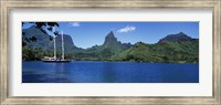 Sailboats Sailing In The Ocean, Opunohu Bay, Moorea, French Polynesia Fine Art Print