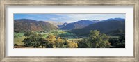 High angle view of trees on the mountainside, Borrowdale, Lake District, England Fine Art Print