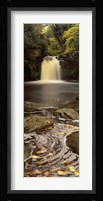 Waterfall In A Forest, Thomason Foss, Goathland, North Yorkshire, England, United Kingdom Fine Art Print