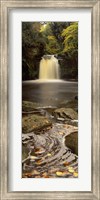 Waterfall In A Forest, Thomason Foss, Goathland, North Yorkshire, England, United Kingdom Fine Art Print