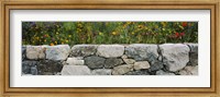 Wildflowers growing near a stone wall, Fidalgo Island, Skagit County, Washington State, USA Fine Art Print