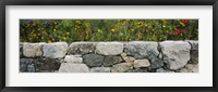 Wildflowers growing near a stone wall, Fidalgo Island, Skagit County, Washington State, USA Fine Art Print