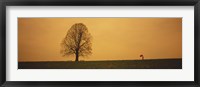 Man standing with an umbrella near a tree, Baden-Wuerttemberg, Germany Fine Art Print