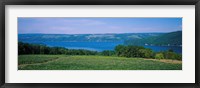 High angle view of a vineyard near a lake, Keuka Lake, Finger Lakes, New York State, USA Fine Art Print