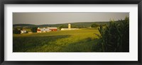 Crop in a field, Frederick County, Virginia, USA Fine Art Print