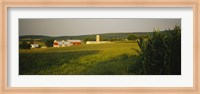 Crop in a field, Frederick County, Virginia, USA Fine Art Print