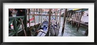 Gondolas moored near a bridge, Rialto Bridge, Grand Canal, Venice, Italy Fine Art Print