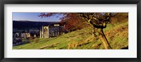 Church On A Landscape, Rievaulx Abbey, North Yorkshire, England, United Kingdom Fine Art Print
