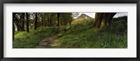 Path Running Through A Forest, Newton Wood, Yorkshire, England, United Kingdom Fine Art Print