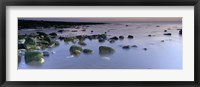 Stones In Frozen Water, Flamborough, Yorkshire, England, United Kingdom Fine Art Print