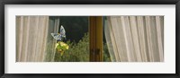 Close-Up Of Flowers And A Butterfly Painted On A Window, Germany Fine Art Print