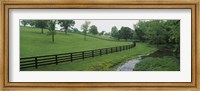 Fence in a field, Woodford County, Kentucky, USA Fine Art Print