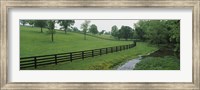 Fence in a field, Woodford County, Kentucky, USA Fine Art Print