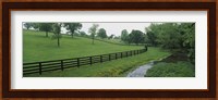 Fence in a field, Woodford County, Kentucky, USA Fine Art Print