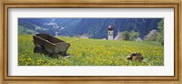 Wheelbarrow in a field, Austria Fine Art Print
