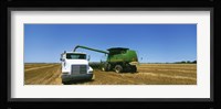 Combine in a wheat field, Kearney County, Nebraska, USA Fine Art Print