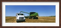 Combine in a wheat field, Kearney County, Nebraska, USA Fine Art Print