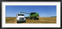 Combine in a wheat field, Kearney County, Nebraska, USA Fine Art Print