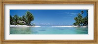 Palm trees on the beach, Tikehau, French Polynesia Fine Art Print