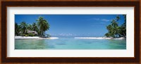 Palm trees on the beach, Tikehau, French Polynesia Fine Art Print