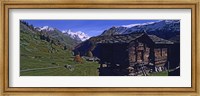 Log cabins on a landscape, Matterhorn, Valais, Switzerland Fine Art Print