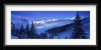 Trees on a polar landscape, Simplon Pass, Switzerland Fine Art Print