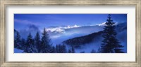 Trees on a polar landscape, Simplon Pass, Switzerland Fine Art Print