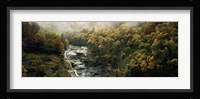 High angle view of trees in a forest, Simplon Pass, Switzerland Fine Art Print