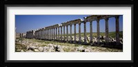 Row of Columns, Cardo Maximus, Apamea, Syria Fine Art Print