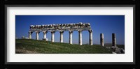 Columns on a landscape, Apamea, Syria Fine Art Print