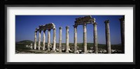 Cardo Maximus Ruins, Apamea, Syria Fine Art Print