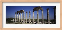 Cardo Maximus Ruins, Apamea, Syria Fine Art Print