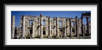 Ruins at Cardo Maximus, Apamea, Syria Fine Art Print