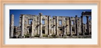Ruins at Cardo Maximus, Apamea, Syria Fine Art Print