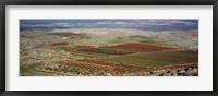 Panoramic view of a landscape, Aleppo, Syria Fine Art Print