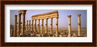 Ruins in Palmyra, Syria Fine Art Print