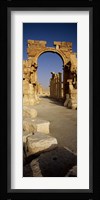 Old Ruins Palmyra, Syria (vertical) Fine Art Print