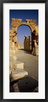 Old Ruins Palmyra, Syria (vertical) Fine Art Print