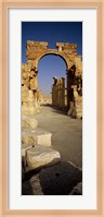 Old Ruins Palmyra, Syria (vertical) Fine Art Print