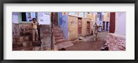 Boy and a bull in front of building, Jodhpur, Rajasthan, India Fine Art Print