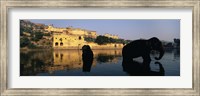 Silhouette of two elephants in a river, Amber Fort, Jaipur, Rajasthan, India Fine Art Print