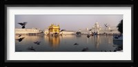 Reflection of a temple in a lake, Golden Temple, Amritsar, Punjab, India Fine Art Print