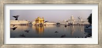 Reflection of a temple in a lake, Golden Temple, Amritsar, Punjab, India Fine Art Print